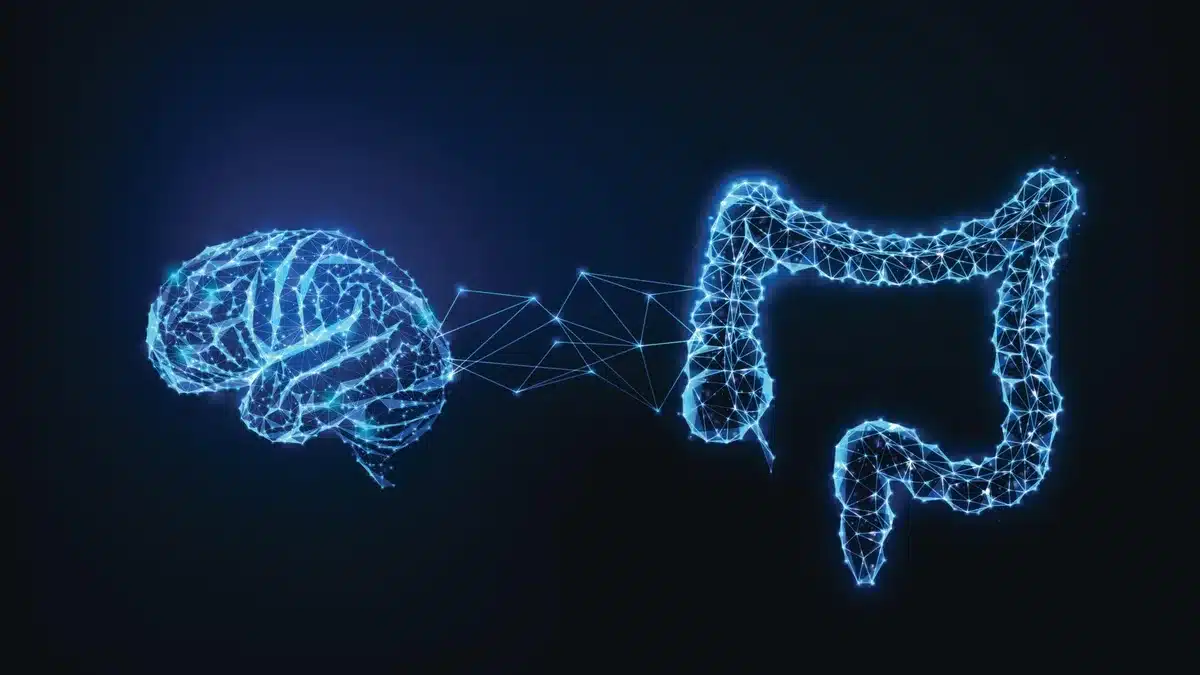A molecule made by bacteria in the digestive system may increase the risk of Alzheimer's disease and