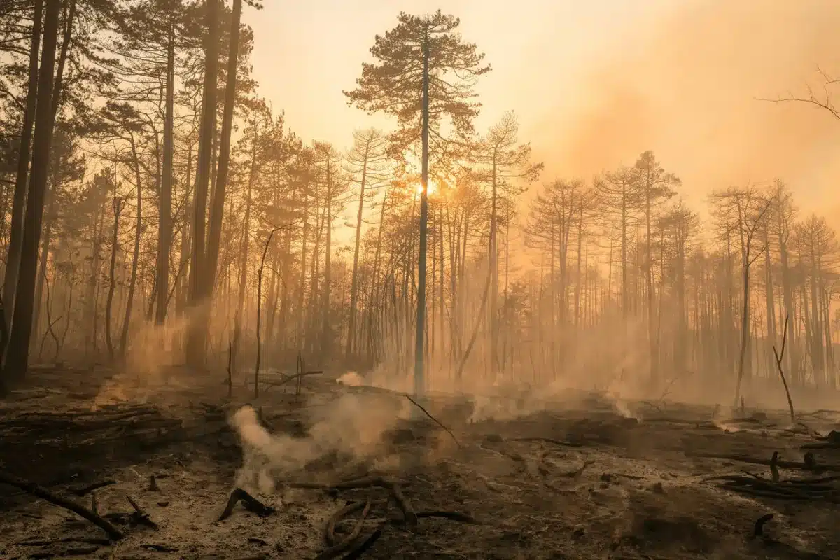 Some climate damage is now unavoidable even if we clean up our act